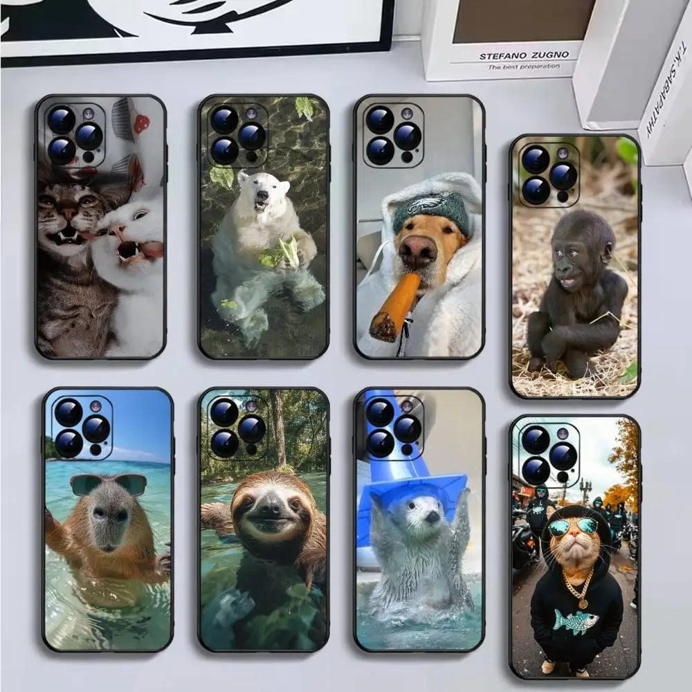 

Funny animals Phone Case For iPhone16,15,14,13,12,11 Plus,Pro Max,XS,X,XR,SE,Mini,8,7,Soft Black Cover