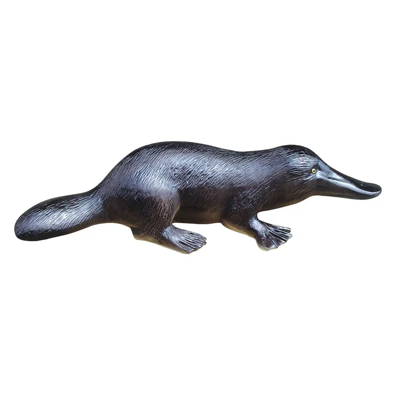 Plastic Platypus Simulation Model Biomedical Educational Teaching Aid
