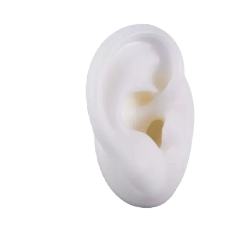 5D Silicone Simulated Artificial Ear Model Ear Stud Piercing Piercing Piercing Teaching Hearing Aid Acupuncture Practice Prop