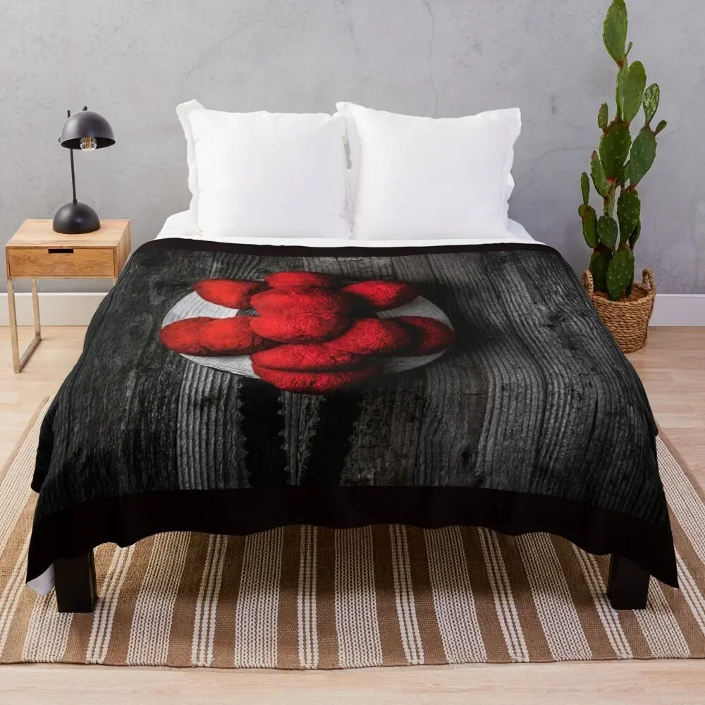 

Bollenhut hangs on a rustic wooden wall Throw Blanket Travel Size Cozy Blanket for Plane Train