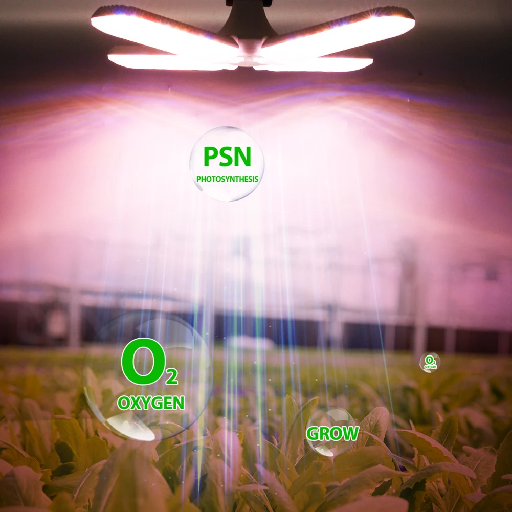 شاشة ليد بطيف كامل تنمو ضوء فيتو مصباح التيار المتناوب 220 فولت 50 واط 100 واط 200 واط 300 واط مع الاتحاد الأوروبي التوصيل لإضاءة نمو النباتات المائية الدفيئة