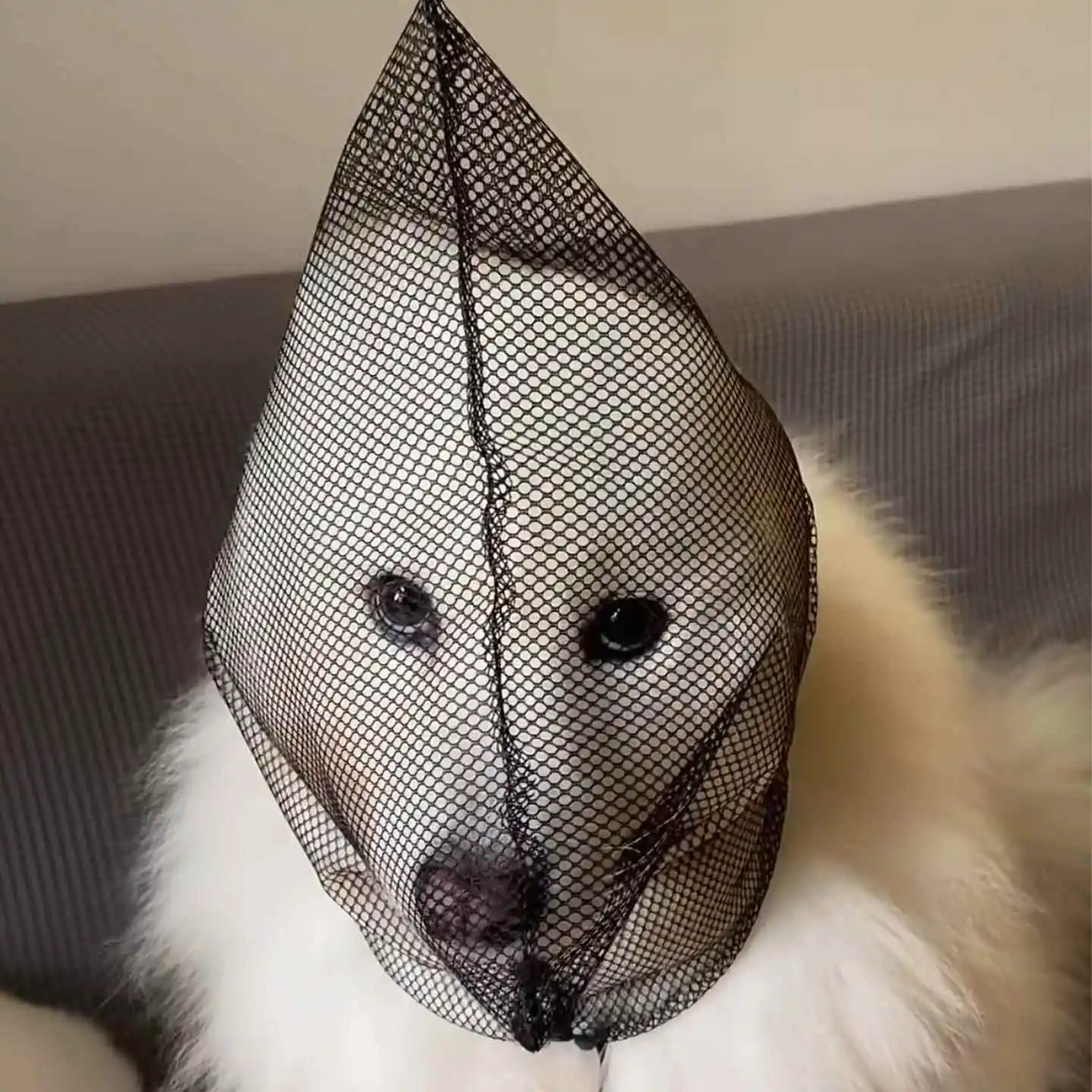 Large Dog Mouth Cover Anti-Lick Preventing Biting And Eating Random Things Samoyed Special Dog Mouth Mask Pet Travel Accessories