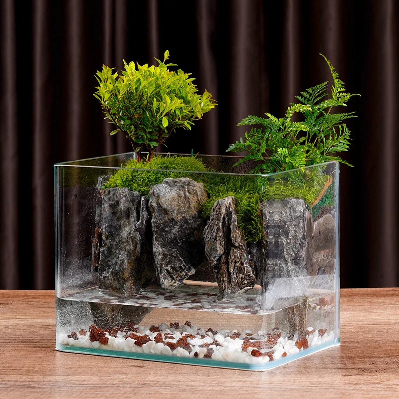 

Fish Tank Landscaping Moss Micro Lazy Desk Real Green Plant Finished Micro