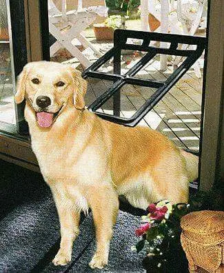 Luxurious Dog Doors With Steel Frame And Durable Swing Double Silicone Magnetic Flaps Or Panels For Heavy-Duty Pet
