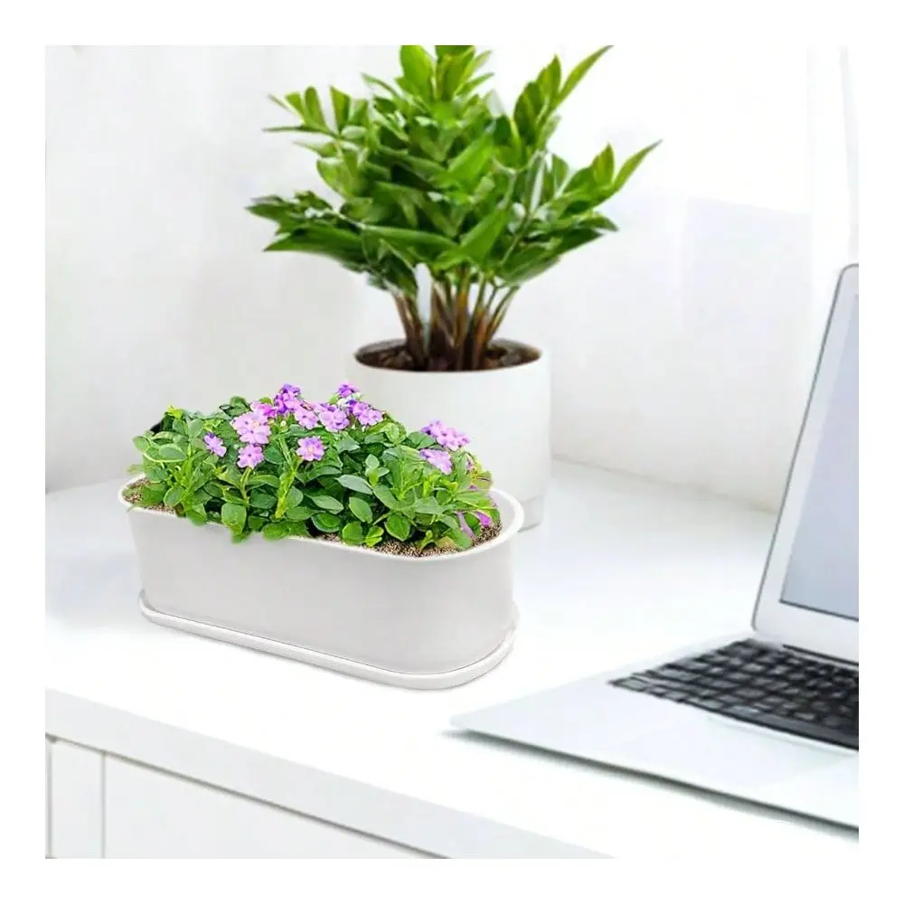 

Set Window Herb Planter Box Rectangular, 8.5x3.5 Inch White Plastic Planters With Multiple Drainage Holes And Trays, Indoor Suc
