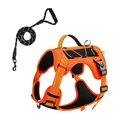 Orange 1