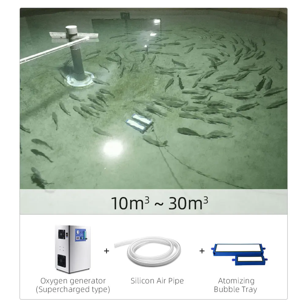 QihangRAS Ras Large 60l 0,2 Mpa Ricircolo Aeratore per acquacoltura Pesci agricoltura 220v