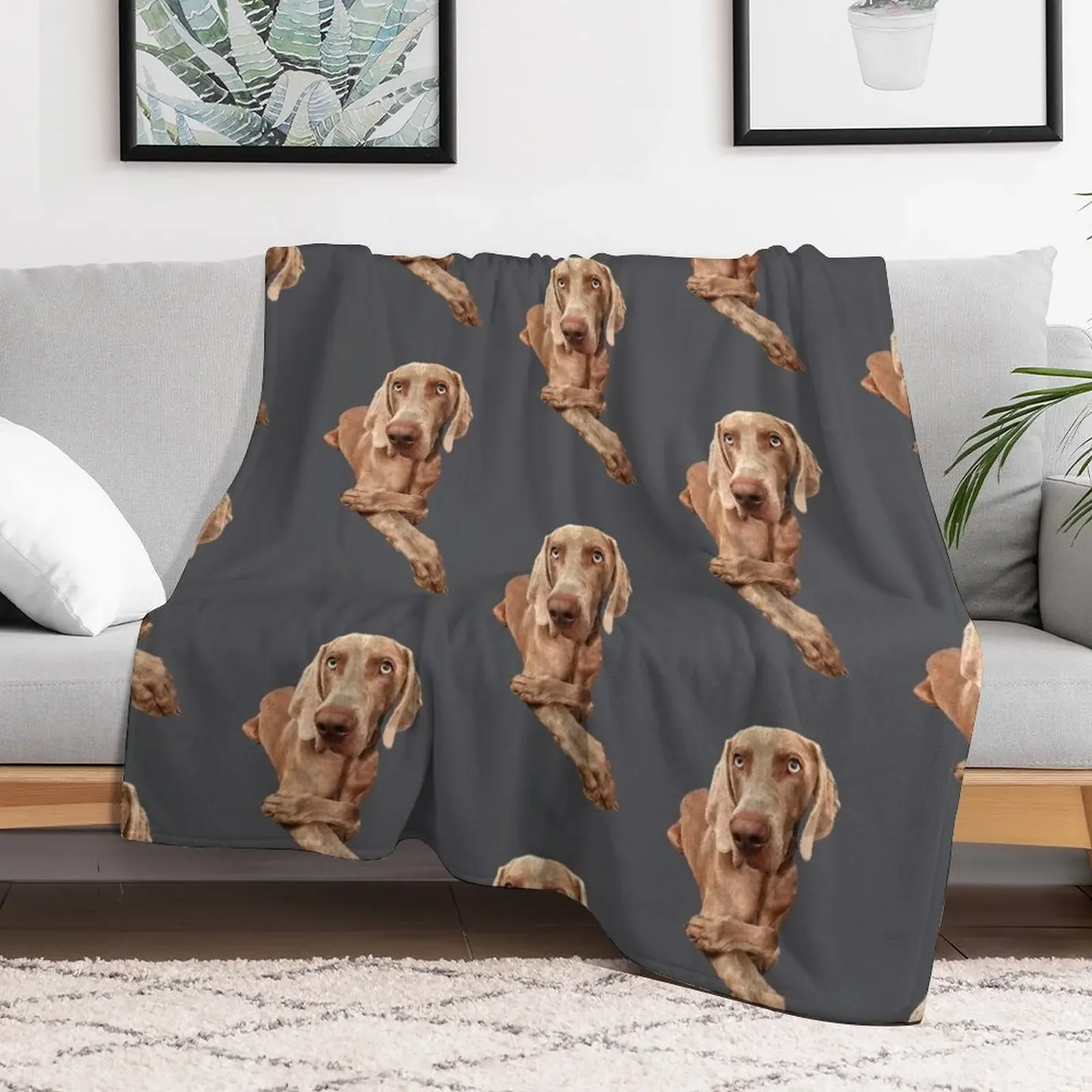 Weimaraner Throw Blanket Soft Breathable Blanket for Night Sleeping