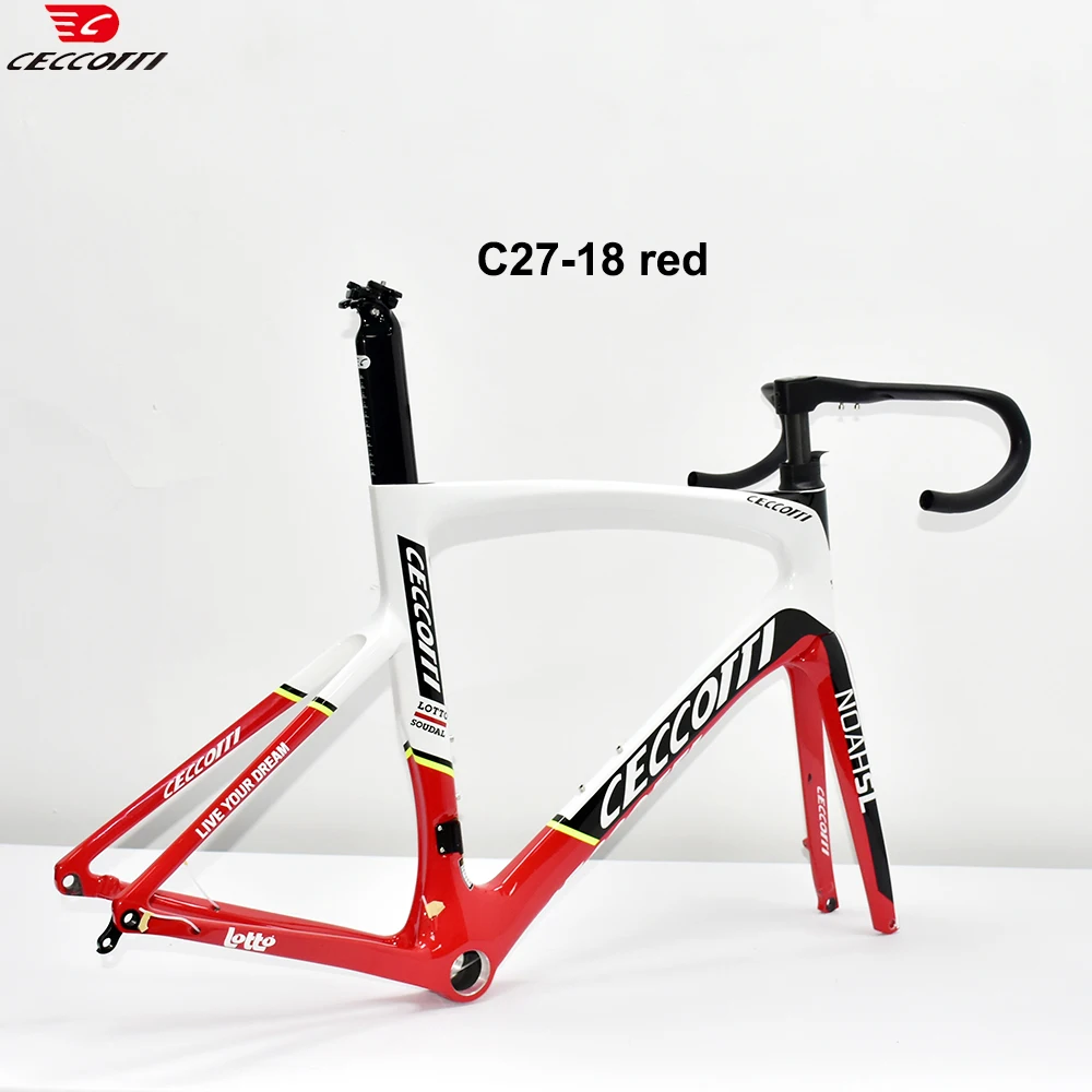

CECCOTTI RF27 Carbon Road Frame Disc-Brake Bicycle Frame 700C x 30C Di2&Mechanical Bike Frames Frameset Racing