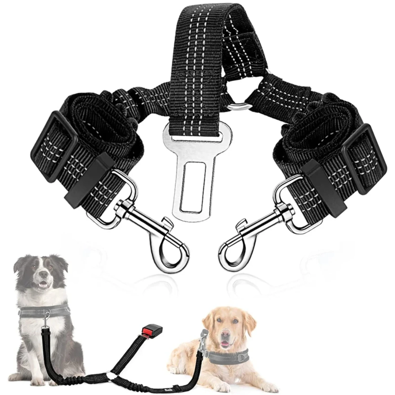 Essential and stylish adjustable pet collar - perfect for every pet owner! Elevate your furry friend's look with this practical 