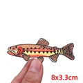 PE19050CT