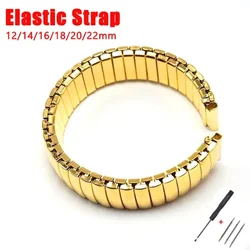 12mm 14mm 16mm 18mm 20mm 22mm Stainless Steel Elastic Strap Gold Stretch Expansion Metal Watchband Men Women Replace Wristband