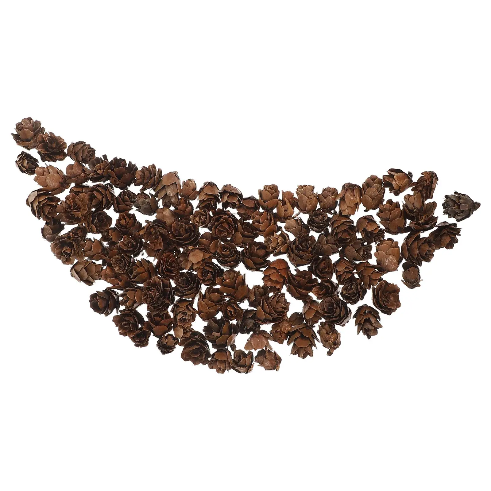 

100 Pcs Songhwa Photo Props Christmas Pine Cone Ornament Tree Decor Cones Fall Decorations for Home Table Manual