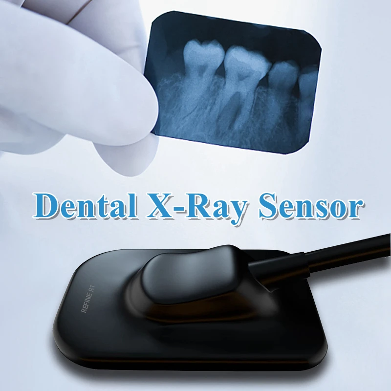 Dental Digital Sensor DynImage X Ray Sensor Fast Transmission Digital Intraoral System with Software