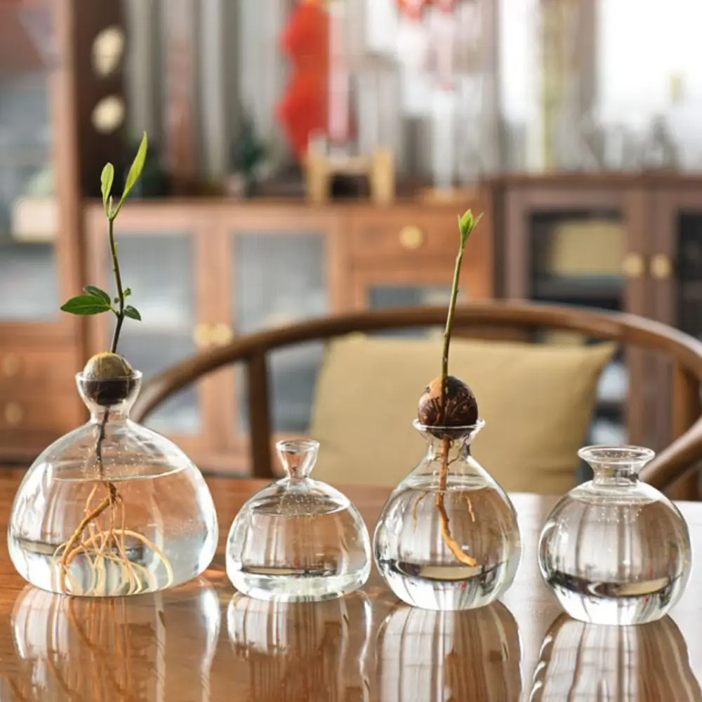 Simple Transparent Avocado Vase Glass Hydroponics Seed Starter Vase Aromatherapy Bottle Gardening Lovers