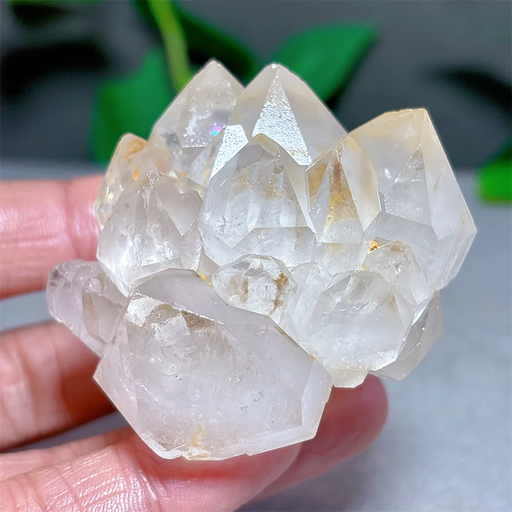 Lotus Backbone Clear Quartz Cluster Specimen Raw Crystal Natural Stone Quartz Stone Garden Home Decoration Reiki Healing Energy