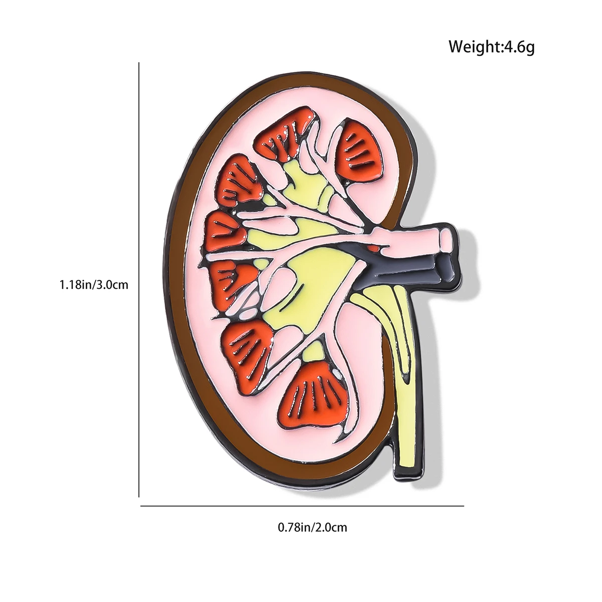 بروش دبوس لتشريح جهاز الكلى من Catuni ، شارة طية صدر بشريط طب طب المينا الكرتوني ، هدية مجوهرات للطبيب والممرض