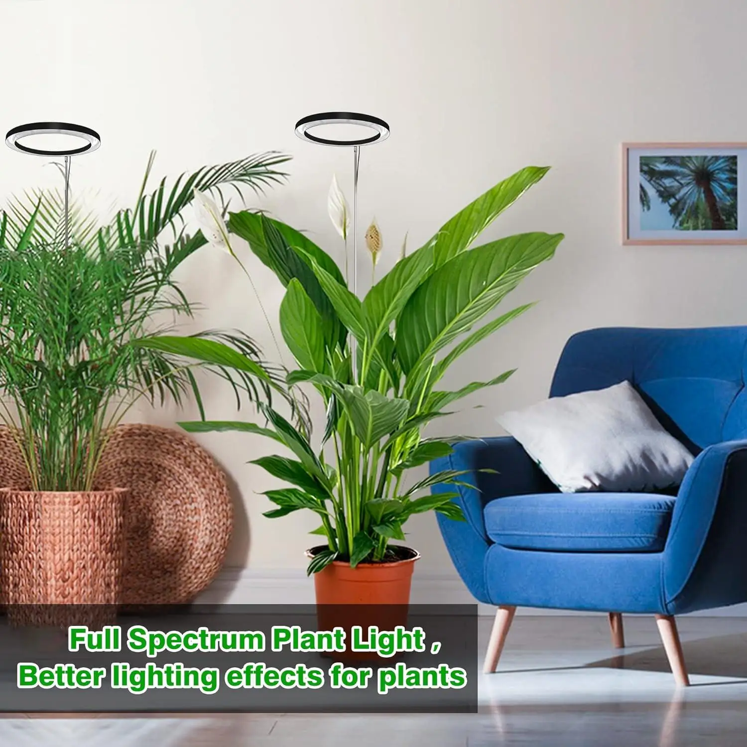 LED Plant Light Full Spectrum Grow Light for Indoor Plants with Adjustable Height 3 Lighting Modes 10 Dimmable Levels 3/9/12H