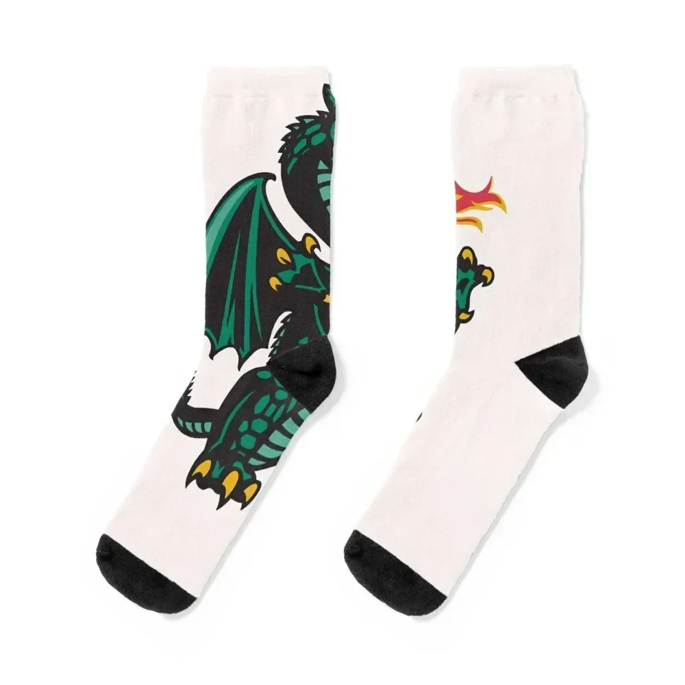 UAB Blazers icon Classic T-Shirt Socks valentine gift ideas hip hop Thermal man winter winter thermal Socks Man Women's