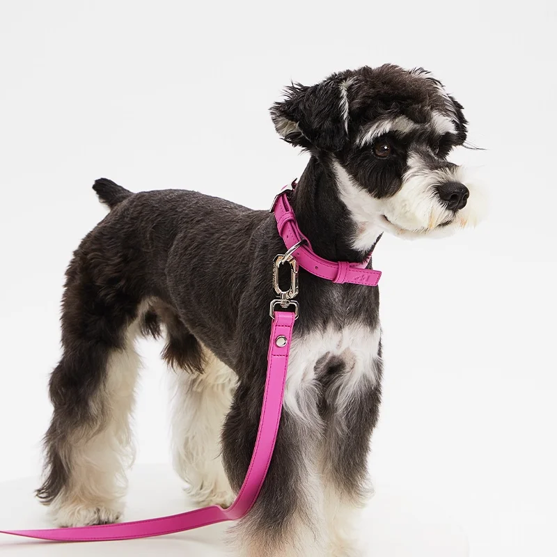 

Pink Dog Collar And Leash Set Classic Simple Fashion 5 Colors Pet Belt Necklace for Cats And Dogs