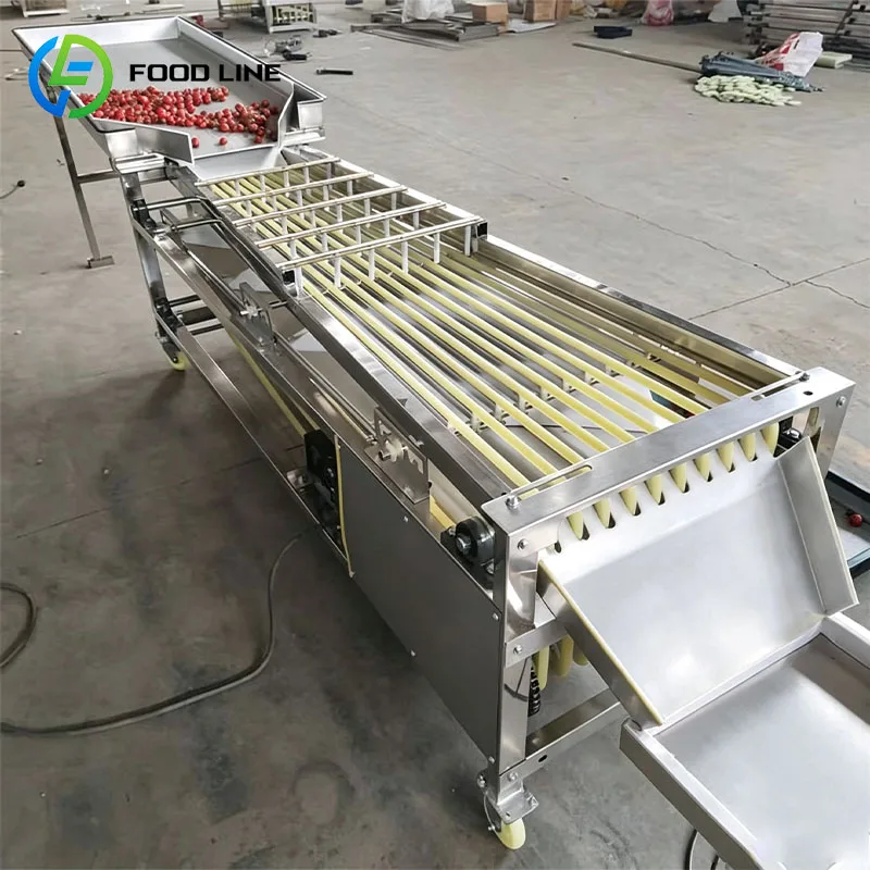 Produce Grading Machine Fruit Sorter Vegetable Size Grader for Tomato Potato Onion Carrot Avocado Customized