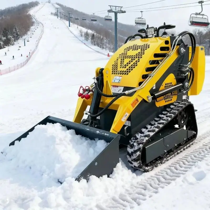 

Customized Ce Epa Diesel Home Garden Wheel Track Mini Skid Steer Loader With Bucket