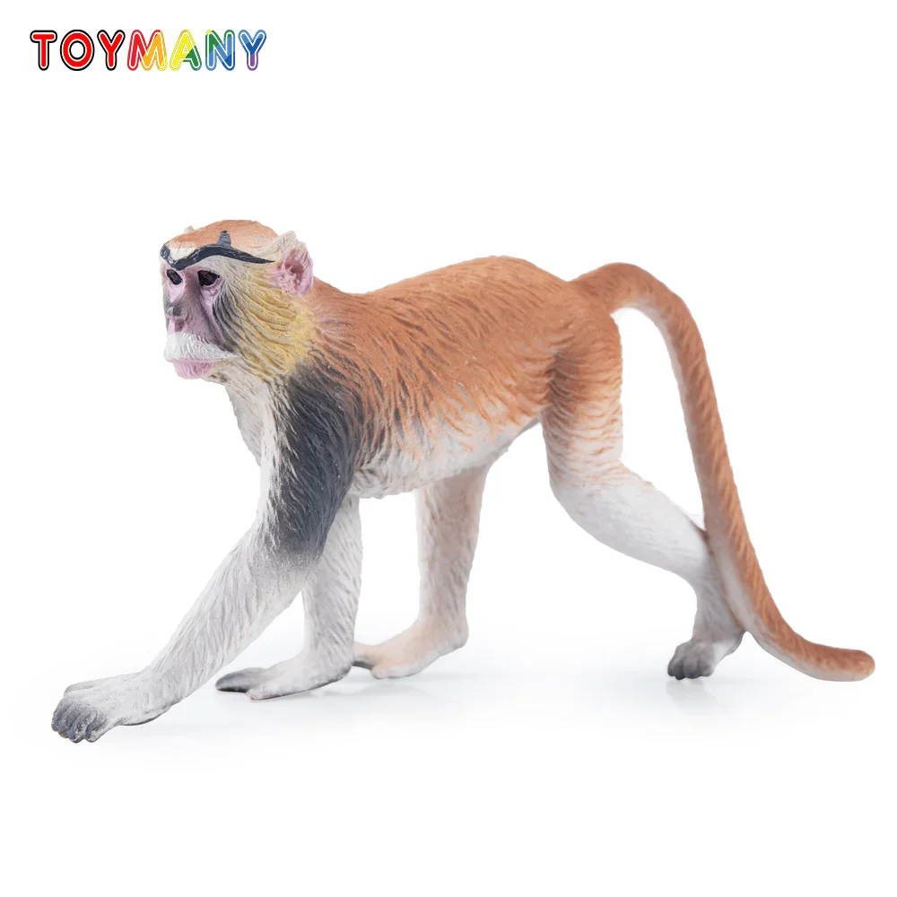 

Toymany Simulation Patas Monkey Primate Animal Model Toy Mini Figures Dolls Action Figurines Toys Children Gift Cake Decora