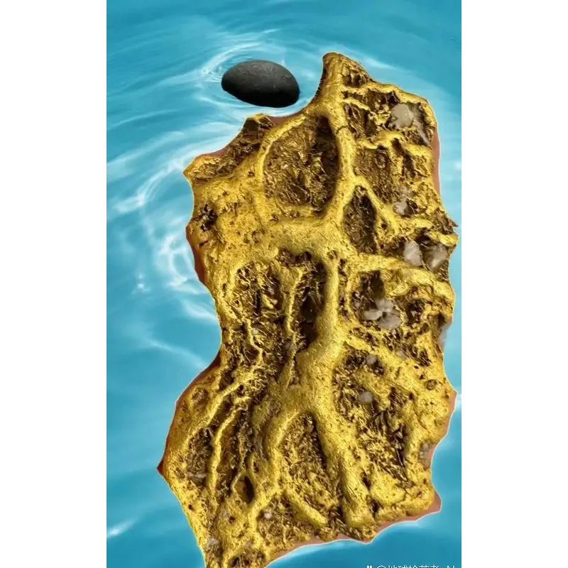 Wireless Restaurant Buzzer Pager 16 Coasters Paging Guest Calling System for Hotel Cafe Coffee Dessert Burger Shop Food Truck