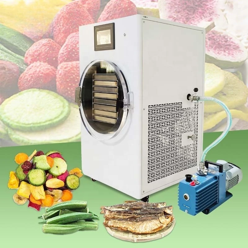 Small Freeze Drying Mini Liofilizador Dried Fruit Dryer Australia Home Dehydrator Dry Machine for Food