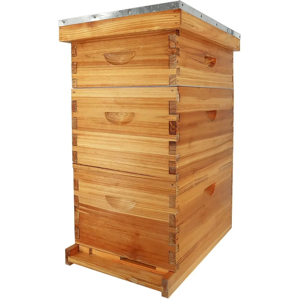 10-Frame Bee Hive Complete Beehive Kit Beeswax Coated Beehive Include Frames and Foundation Sheets for All Beekeeping Levels (2