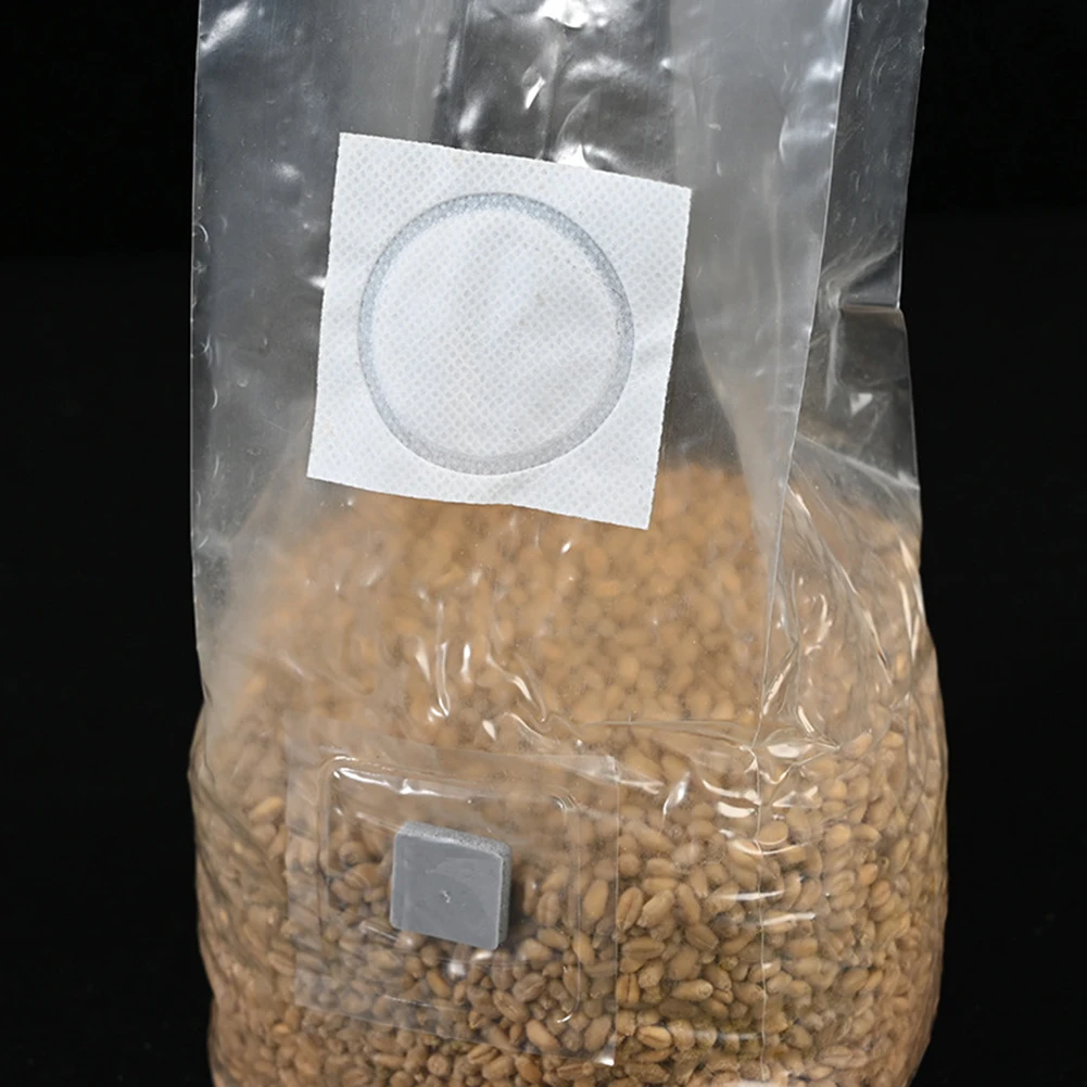 Moisture Control Cultivation Bags Cultivation Bags Sterilized Mushroom Bags Medicinal Mushroom Cultivation For Monotubs