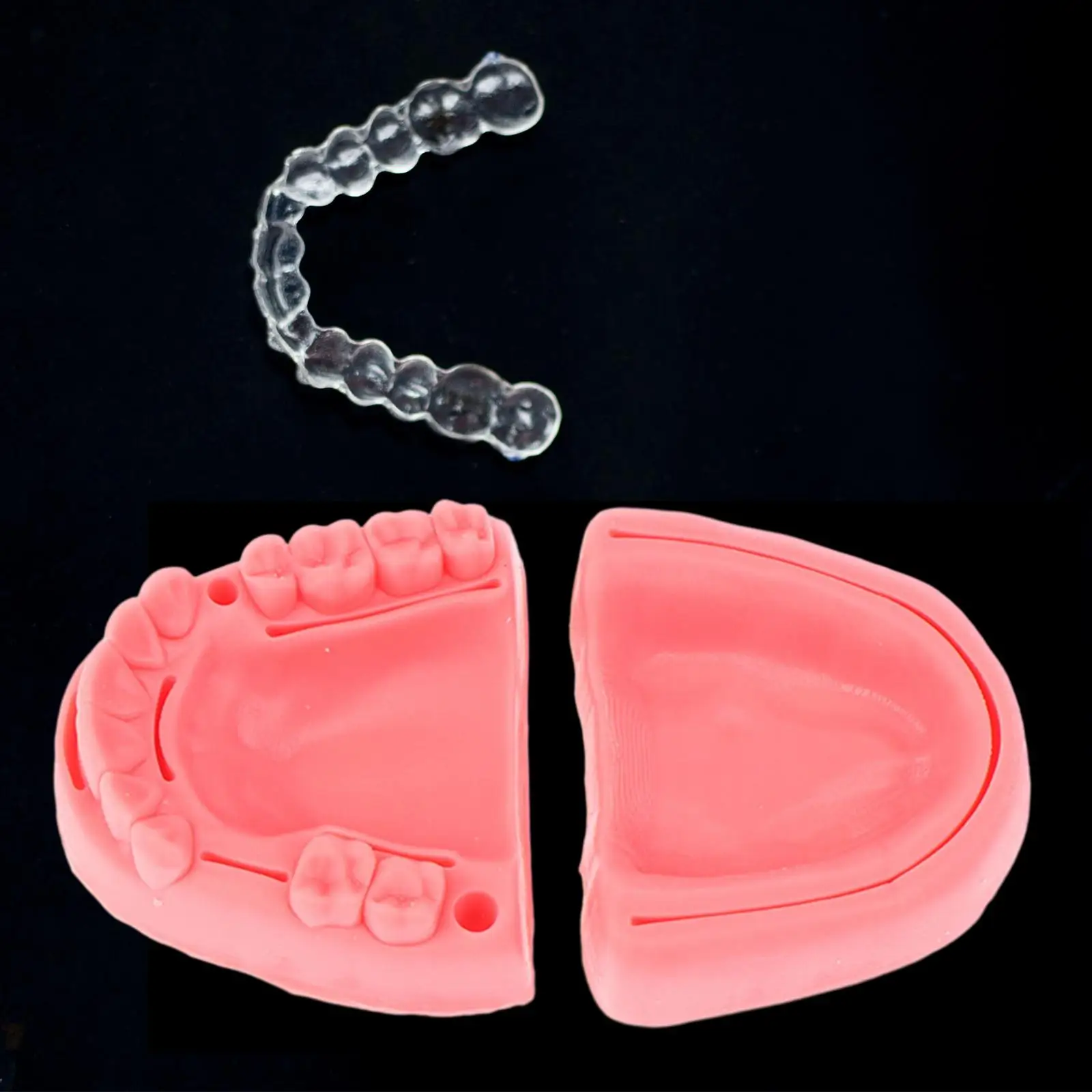 Oral Suturing Training Model Exercise Training Model for Nurses Vets Doctors