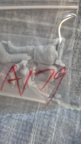 Buyer photo of this resin kit