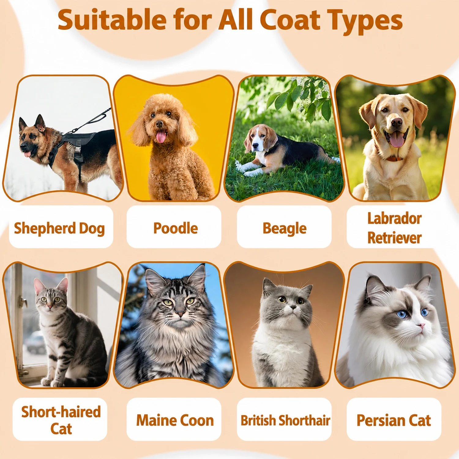 Thumbnail 3 - #27 Best Cat Deshedding Brushes to Buy In 2026