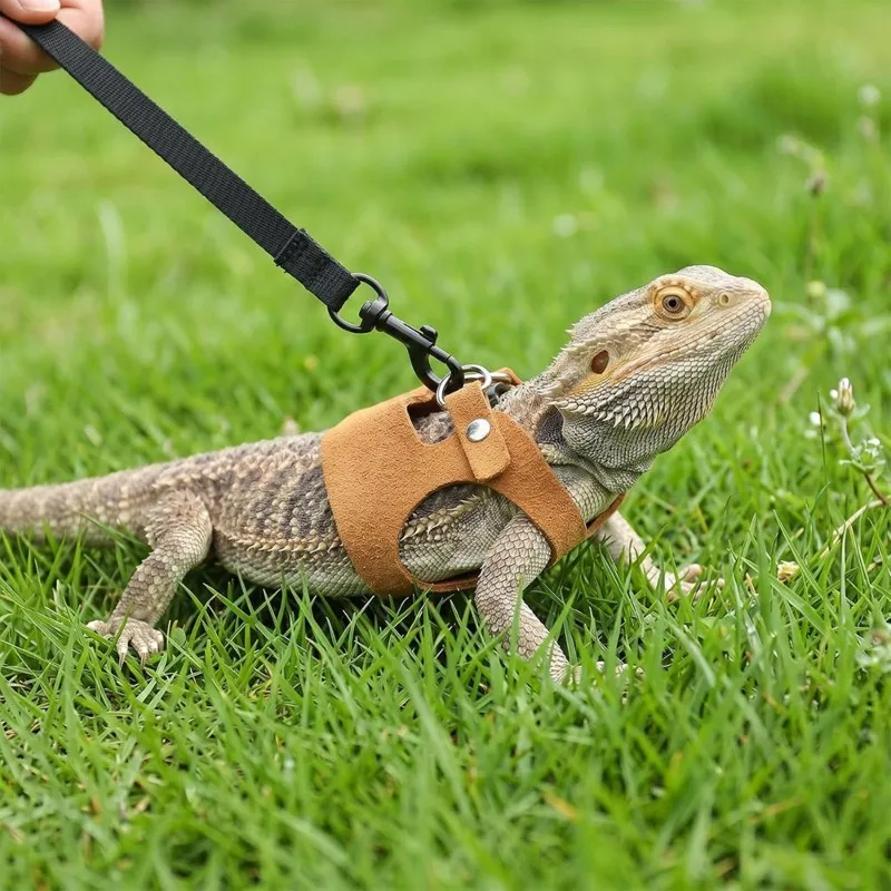 ALIM-For Reptile Accessories-Adjustable Lizard Harness With 2M Leash In 3Pcs Set