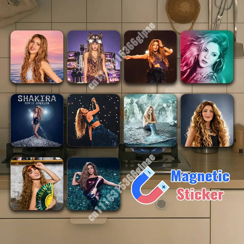She Wolf S-Shakira Women No Longer Cry Magnetic Sticker Reusable Fridge Decal for Metal Surfaces Magnet Marker