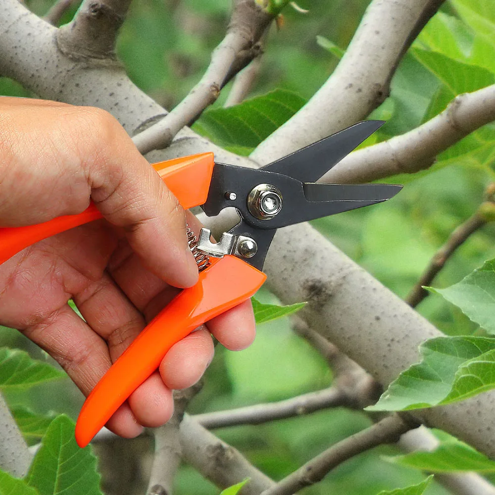 Hoof Trimming Shear Stainless Steel Goat Hoof Trimmers Sheep Nail Clippers Hoof Trimming Shears Garden Scissors Plants Pruning