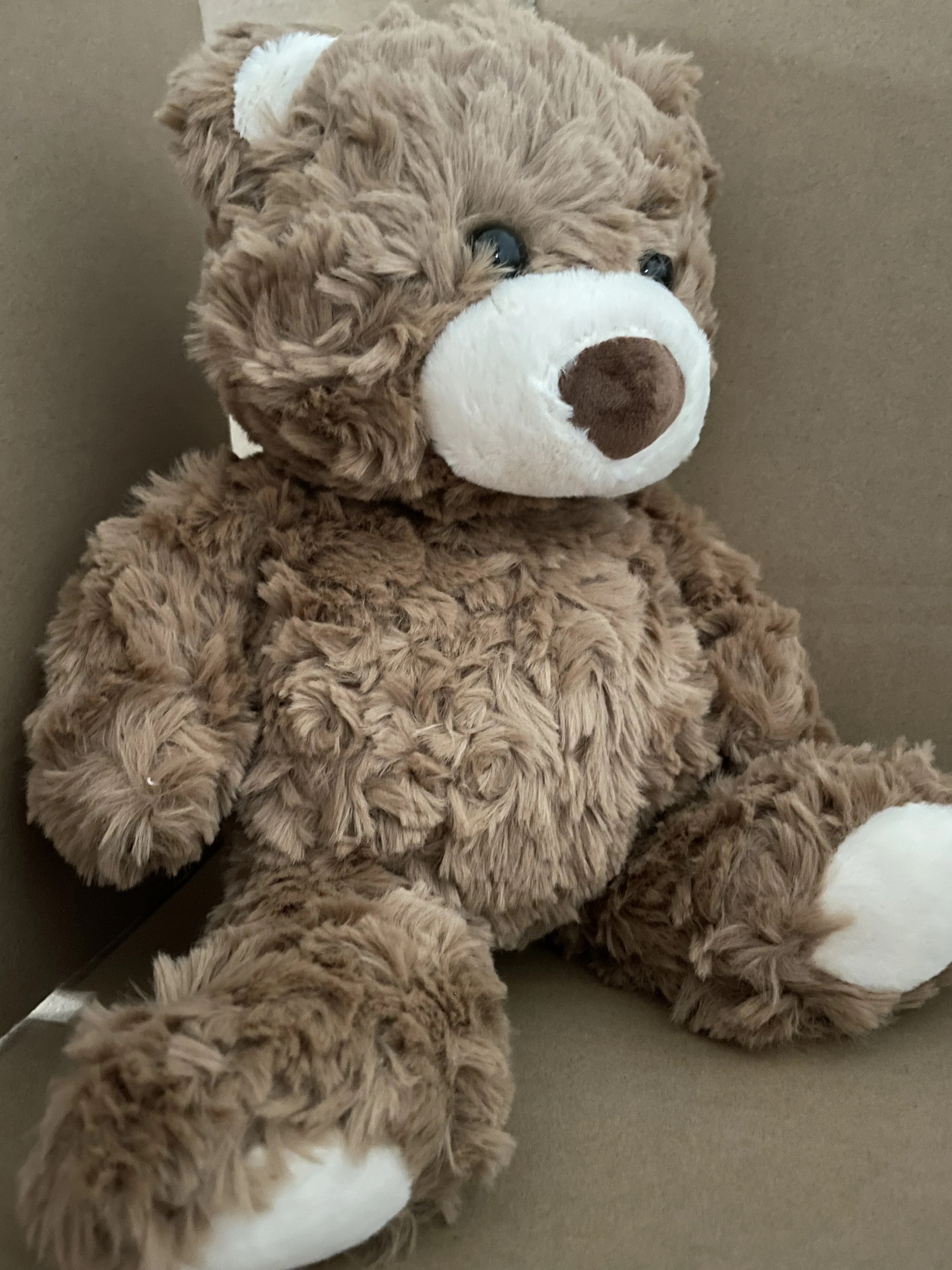 الحيوانات الأليفة القطيفة