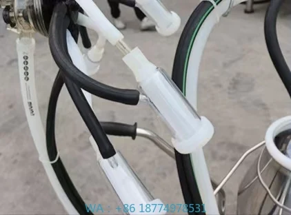 Steel Goat Sheep Cow Camel Milking MachinePortable Single Bucket Automatic Electric Milking Machine Stainless