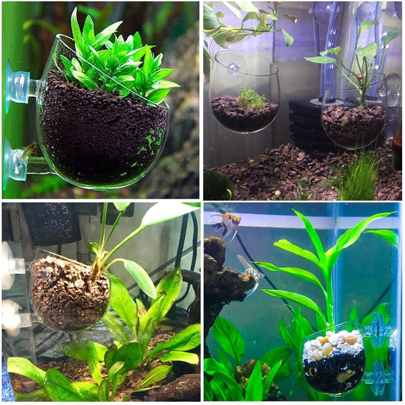 Aquarium Plant Pot Glass Cylinder Cup With Suckers For Cultivate Aquatic Plant Seeds Coral Moss Fish Tank Decoration Accessory