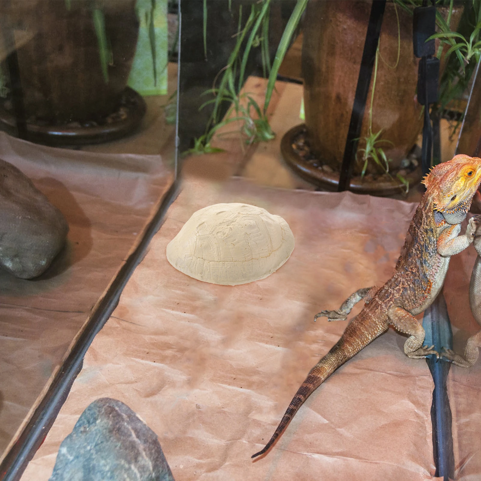 

Turtle Platform Aquarium Basking Deck Resin Climbing Terrace Decor Fish Tank Adornment Reptile Habitat Safe Material