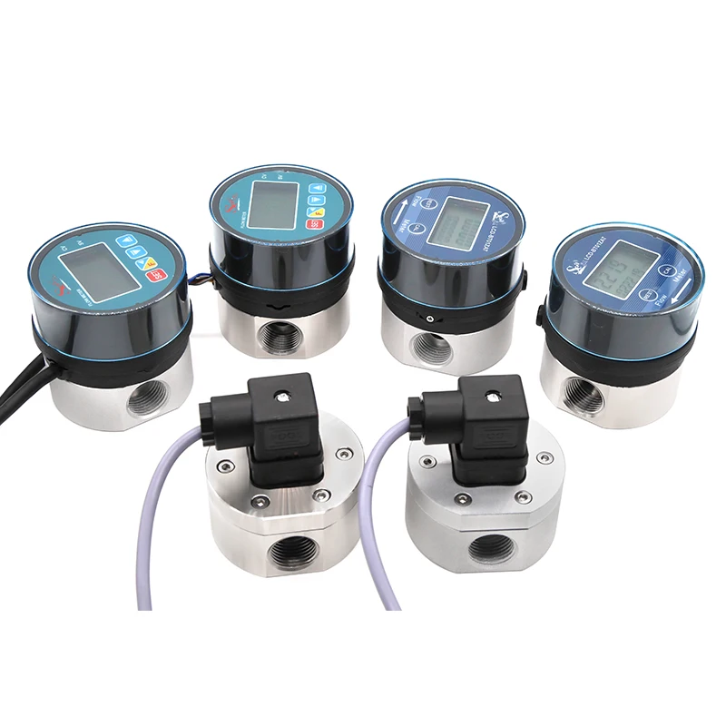 Accurate OEM 1/2'' 304SS Oval Gear Flow Meter for Viscosity Liquids Micro Flowmeter Digital RS485 Flow Meter Modbus RTU