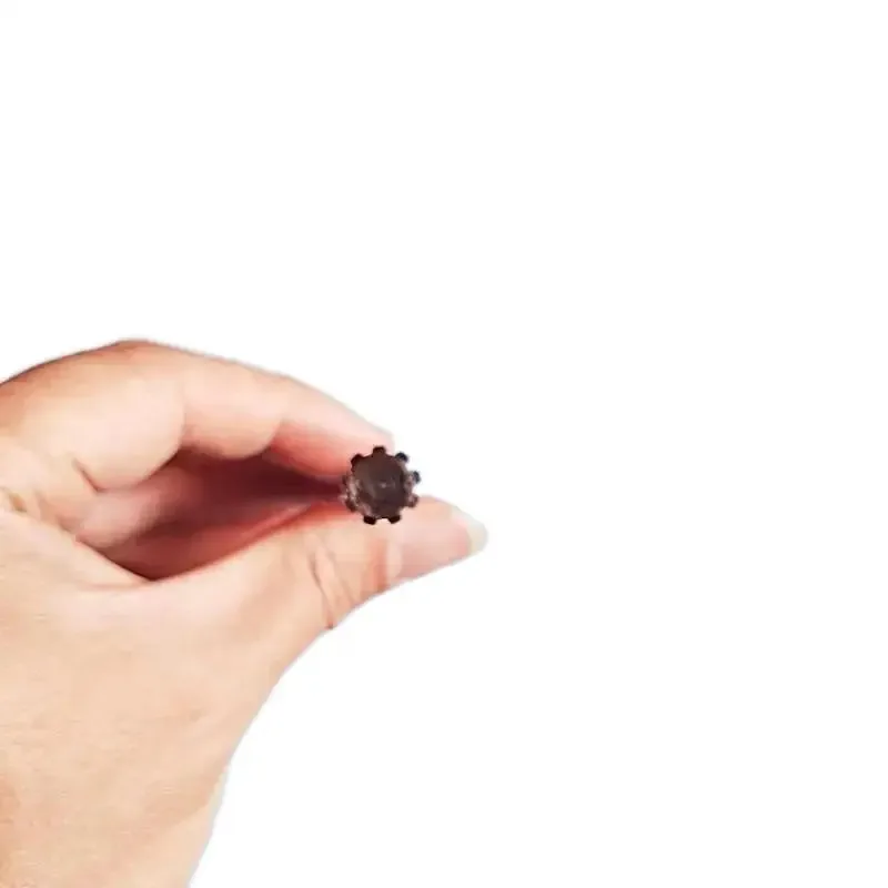 

Приводной вал с 9 зубьями (диаметром 8 мм) для трубки 26 мм или 28 мм, триммер для травы, ручной мини-экскаватор, длина 530 мм TY