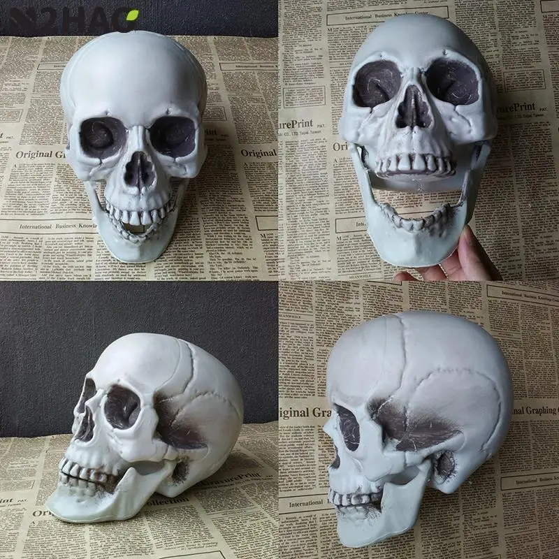 Tất Cả Các Kích Thước Sọ Người Đầu Đồng Hồ Treo Hộp Sọ Halloween Hình Chống Đỡ Nhà Sự Kiện Cho Tiệc Lễ Hội Halloween Tiếp Liệu