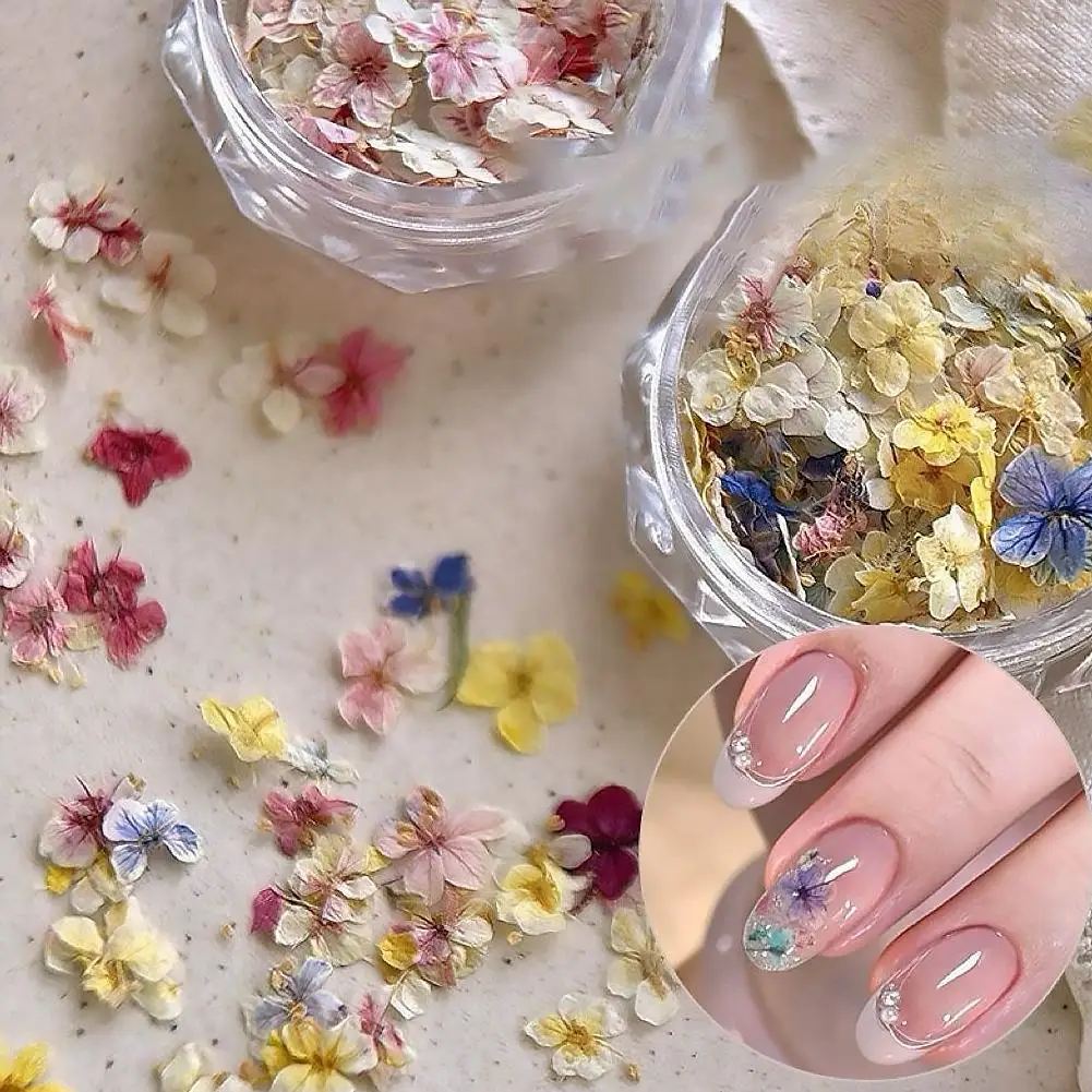 Getrocknete Blumenmaterialien für Nägel, romantische Monet-Garten-Farbpalette, lebendige Accessoires, Wildblumen-Nagelkunst-Dekorationen, Werkzeuge – Detail 15