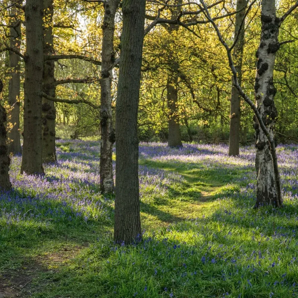 

Носки для новорожденных и малышей 0-2 лет, нескользящие, с милым рисунком медведя и кролика, хлопковые, с противоскользящей подошвой, весенне-осенние, для младенцев и малышей