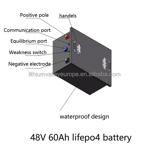 Lithium valley Deep Cycle LiFEPO4 48V 60AH Battery Lithium iron phosphate battery 48V LiFEPO4 Golf cart Battery pack