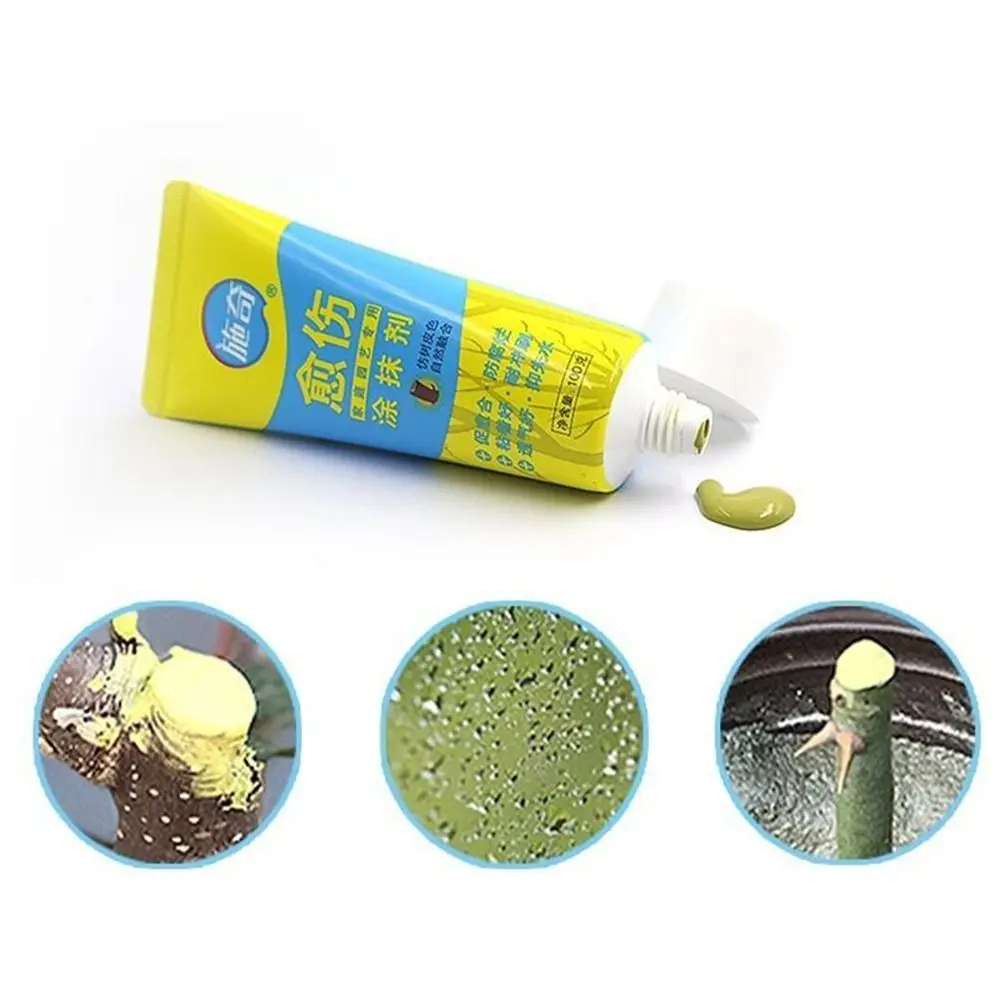 With Brush Rapid Re…