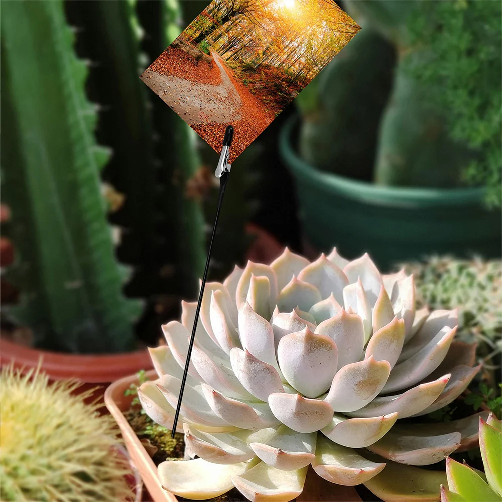 

10Pcs Alligator Clips Rubber Tip Metal Mini Clamps for Painting Airbrush DIY Card Photo Memo Holder Display Button Assist Tool