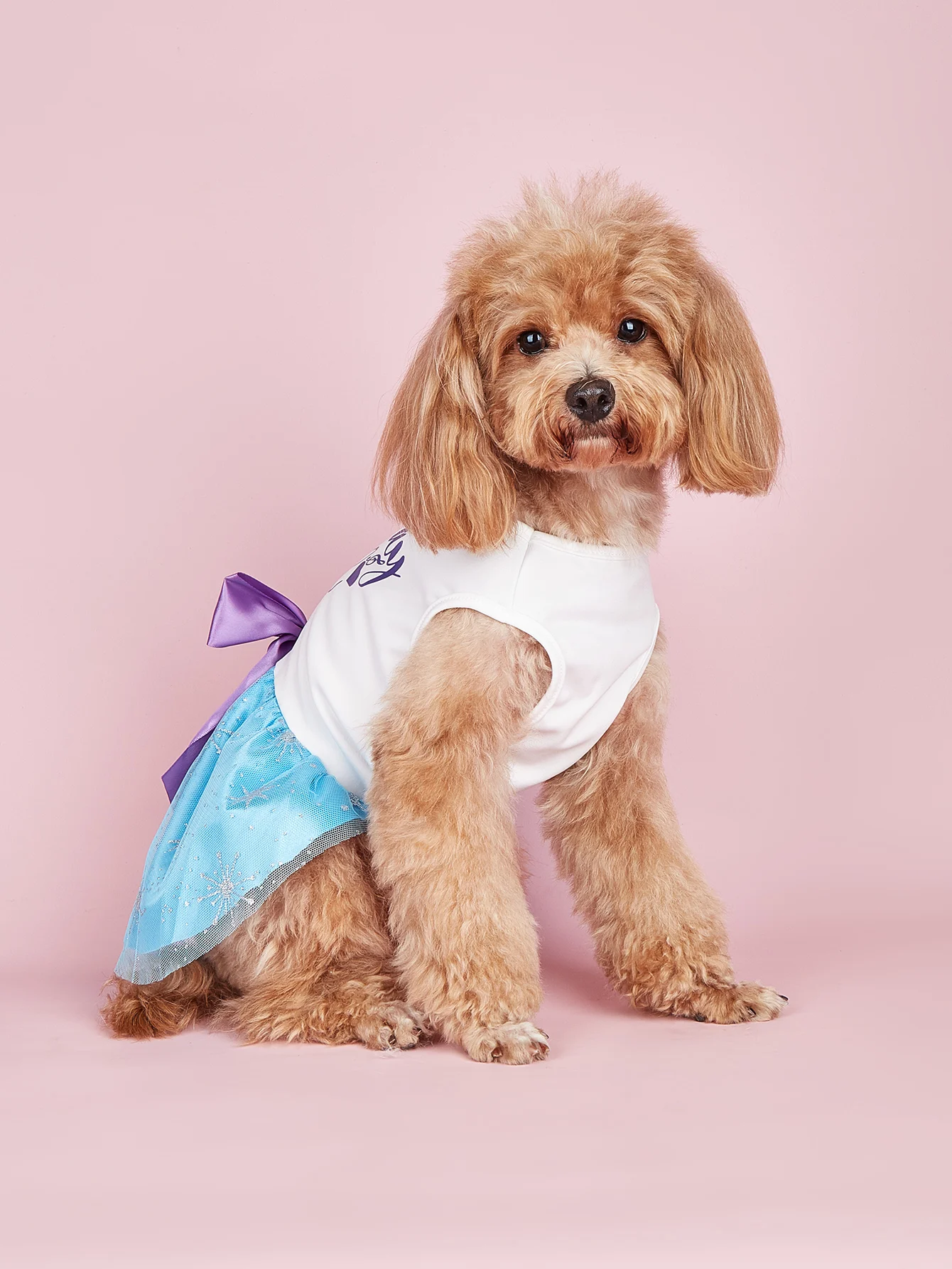 Cute Dog Dress for Small Dogs Girl  Sequin Mesh Summer Tutu Dress Dog Clothes  Cat Apparel Pet Puppy Clothing Doggie Outfits